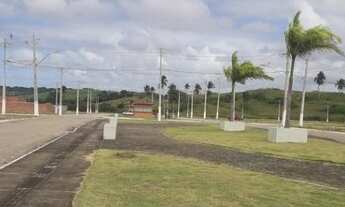 Imagem 4: Vendo lote próximo a Praia do Francês