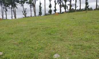 Imagem 1: Terreno com preço de desapego em Igaratá!