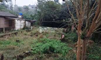 Imagem 6: NOVO HAMBURGO - Terreno Padrão - Centro