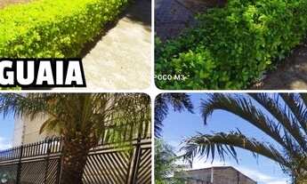 Imagem 6: Apto 3 quartos com suíte perto do metrô Samambaia Norte