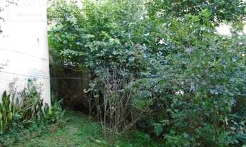 Imagem 1: Santo André - Terreno Padrão - Santa Maria