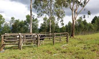 Imagem 3: Vende-se fazenda em Brejoes x Ubaíra