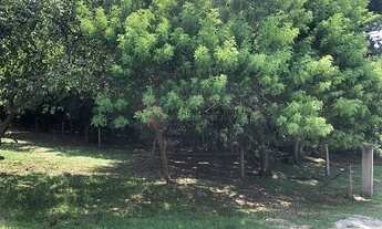 Imagem 3: Florianópolis - Terreno Padrão - Santinho