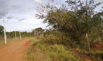 Imagem 2: Chácaras em Brazabrantes-GO