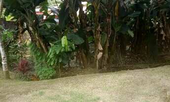 Imagem 2: SÍTIO/CHÁCARA NA BR 174( KM 41