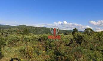 Imagem: Fazenda à venda 520 por R$ 20.000.000