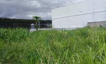 Imagem 2: Lote/Terreno para aluguel e venda com 4546 metros quadrados