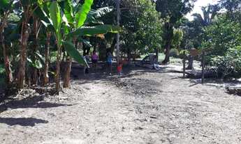 Imagem 3: Casa em Itapera Casa com 3 dormitórios