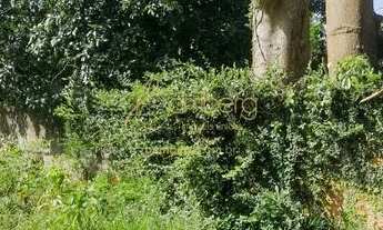 Imagem 2: Bolsão de Interlagos, em uma rua larga com segurança, e muito verde