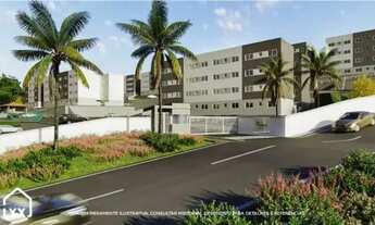 Imagem 3: Apartamento em campo largo