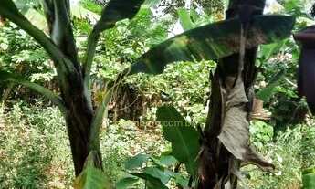Imagem 7: Bolsão de Interlagos, em uma rua larga com segurança, e muito verde