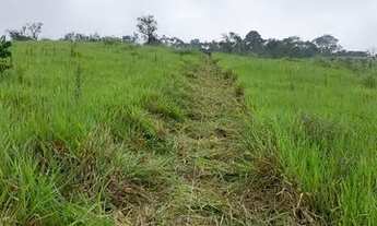 Imagem 4: Vende-se lote com metragem de 500m² com ótimo acesso