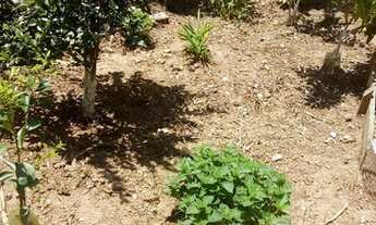 Imagem 3: Chácara com 1 dormitório à venda, 922 m² por R$ 220.000,00 - Parque Santa Tereza - Santa I