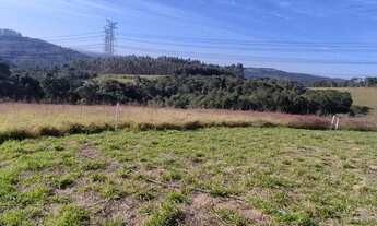 Imagem 5: Chegou a hora de conquistar o terreno para sua casa de campo!!