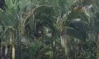 Imagem 5: PARAISO EXCLUSIVO NA PRAIA DO ESTALEIRO