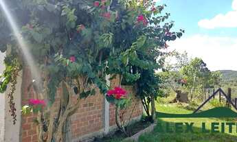 Imagem 7: Atenção leia todo anúncio.Vende-se lindo sítio de 24 Hectares na cidade de Piratini/RS