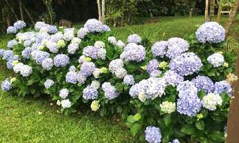 Imagem 3: Casa à venda nas Braunes - 477m² - R$1.340.000,00