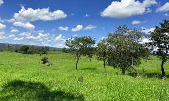 Imagem 2: Chácara/Sítio de 2 hectares - Região do Rio Dourados