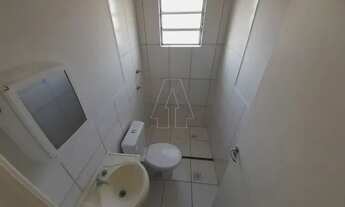 Imagem 3: Araçatuba - Apartamento - Umuarama