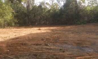 Imagem 6: Oportunidade Lote situado no Casquilho/ Conceição do Pará