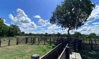 Imagem 2: Fazenda 420 Alqueires ou 2.032,80 hectares