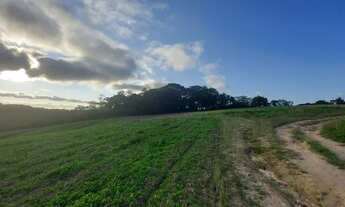 Imagem 2: Eu tenho o terreno certo para você que procura algo rural e bem localizado!!