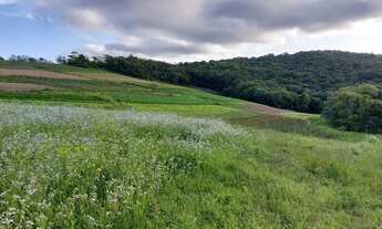 Imagem 5: Eu tenho o terreno certo para você que procura algo rural e bem localizado!!