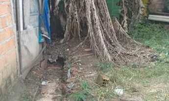 Imagem 6: Vendo casa Casa com 2 dormitórios