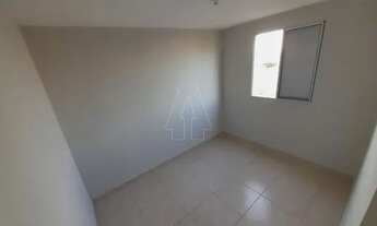 Imagem 5: Araçatuba - Apartamento - Umuarama