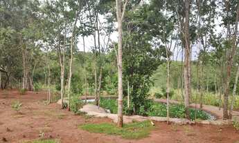 Imagem 6: Sítio no Prata/Mg