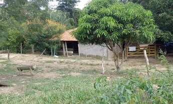 Imagem: Chácara 3 alqueires em Vianópolis