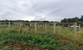 Imagem: Ótima propriedade!Oportunidade única