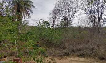 Imagem 4: Vendo ou Troco Chácara em Mirabela no Encontro das Águas