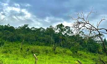 Imagem 5: Terreno em São Roque: Rentabilidade, Natureza e Desenvolvimento em um Só Lugar! Dentro da
