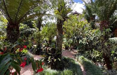 Imagem 9: Linda Casa á venda no Alpes Verdes á 8 minutos do centro de Canela