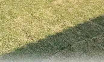 Imagem: Imóvel para venda com 70 metros quadrados