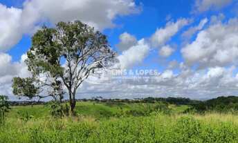 Imagem 3: Loteamento Boa Sorte - Atalaia