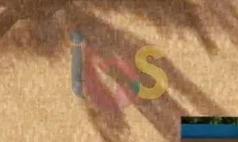 Imagem 7: Casa à venda, 5 quartos, Alto da Pitinga - Porto Seguro /BA