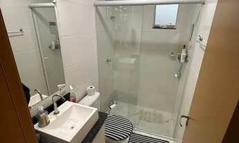 Imagem 4: Cobertura Ribeirao da ilha