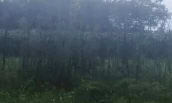 Imagem 6: Chácara são José dos pinhais