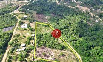 Imagem 6: Terreno com 6.000m² na Avenida Cláudio Mesquita, Tarumã-Açu