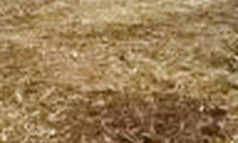 Imagem 6: Imóvel para venda possui 2675 metros quadrados em r - Sapezal - MT