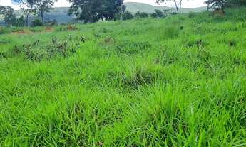 Imagem: Sitio 22 hectares valor 195.000