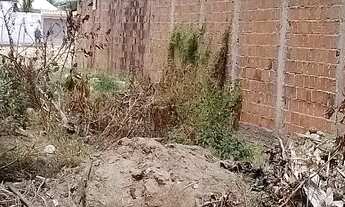 Imagem: Vende-se Terreno na Ilha da Croa, praticamente