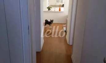 Imagem 5: Apartamento 2 quartos à venda no(a) Vila Mazzei