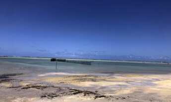 Imagem 2: Terreno condomínio beira mar em Maragogi