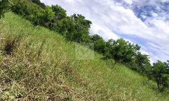 Imagem 7: Sítio Para Venda no Povoado Carlos Torres, Salgado, Sergipe