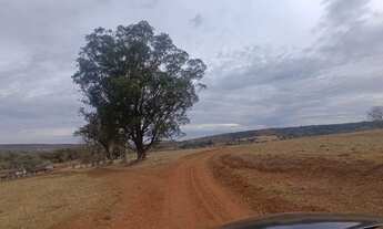 Imagem 6: Fazenda em comendador gomes