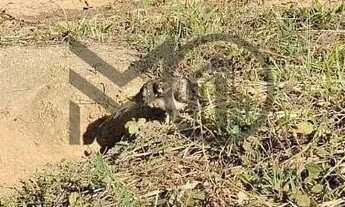 Imagem: Terreno à venda Florada da Serra Chapada