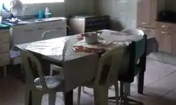 Imagem 3: Super natureza preservada 400 mil reais